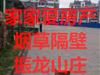 振龙山庄2楼精装带车库