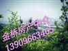 3322宏泰花园，142.4平米，带车库，3楼