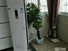 文苑花园6+复试精装证齐全随时看房