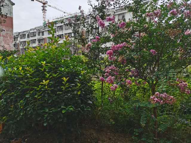 天成时代广场  好楼层127㎡带车位 101万
