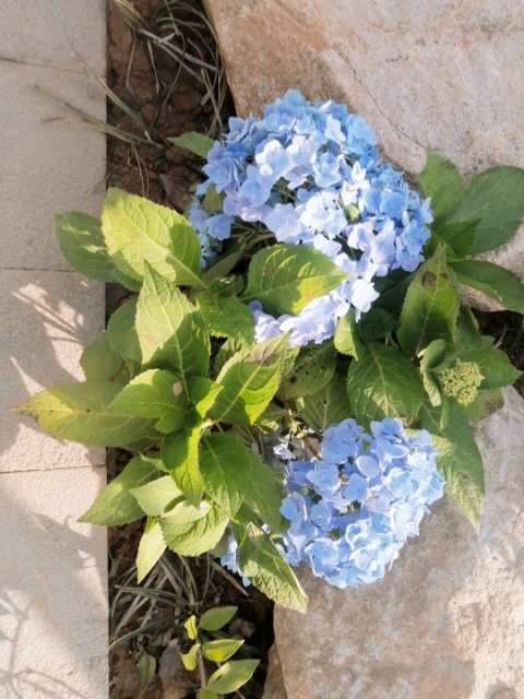 龙安小区126平米三室两厅两卫，售价71.8万证件齐全首付20万可按揭、烟雨江南复式5楼.21.5万