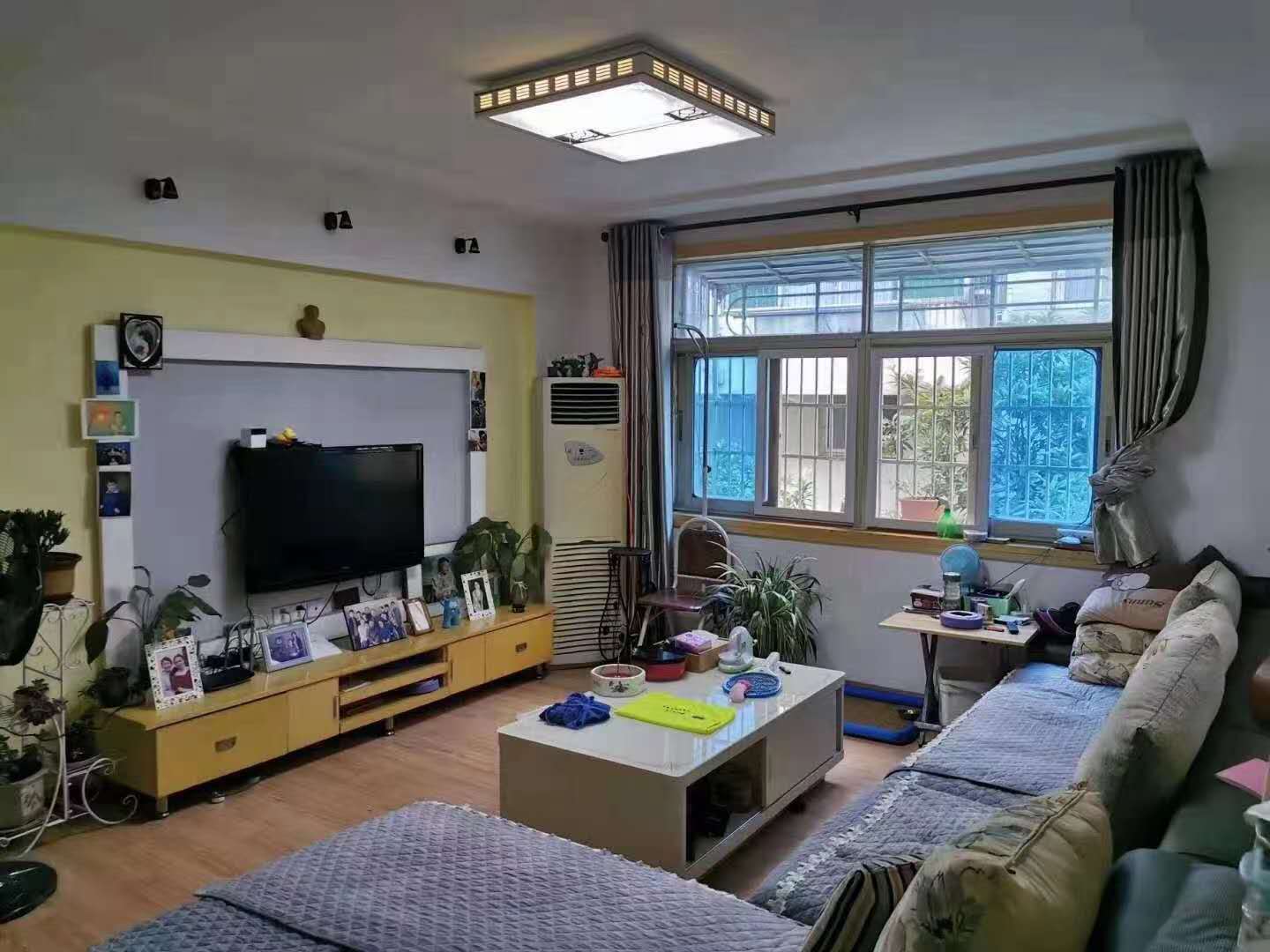 晋湖山庄，中间好楼层，98平米，三室两厅一卫，报价82.8万