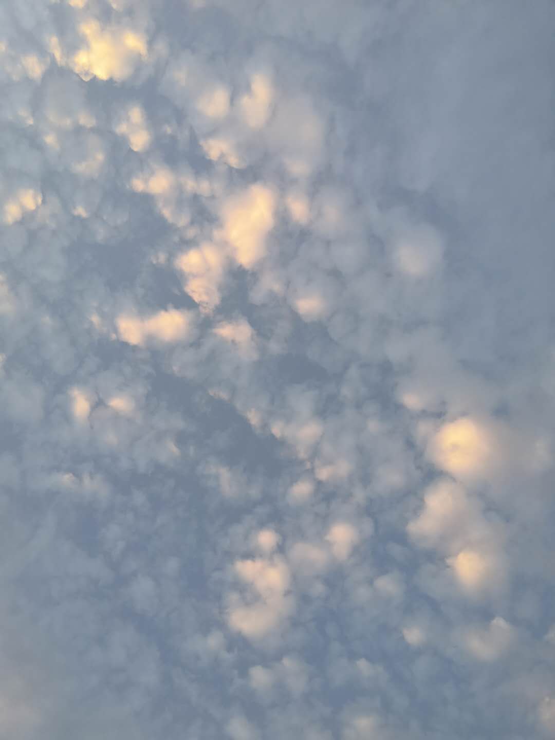 晶星家园  60㎡ 价格面议