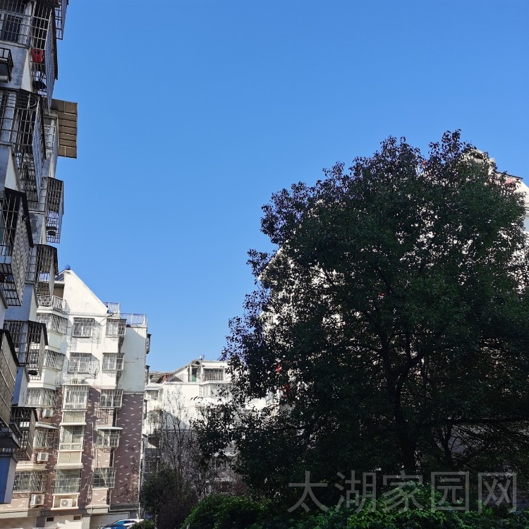 振龙山庄  1楼精装修四室两厅两卫 带车库103.8万
