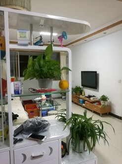 文苑花园 3室 106㎡ 86万 精装修