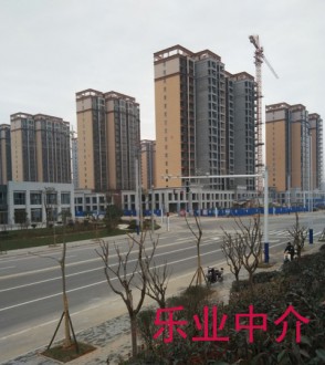学仕府 3室 125㎡ 80万 毛坯