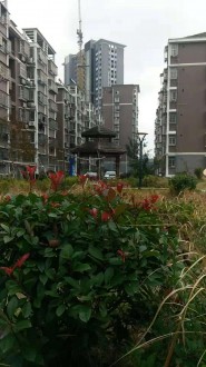 金色家园 125平带复式带杂物间低价出售