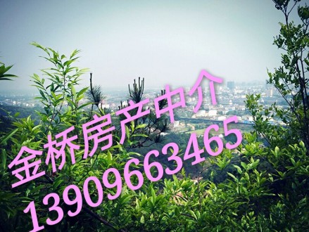 振龙山庄 3室 134㎡ 101.6万 精装修