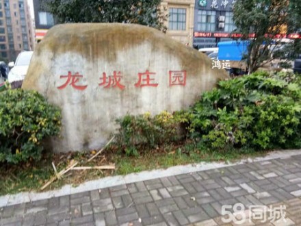 龙城庄园 3室 133㎡ 有车位，有一个10平方杂物间 毛坯
