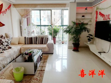 龙城庄园 3室 110㎡ 88万 精装修