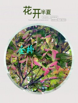 文博园烟雨江南 4室 131㎡ 89.8万 毛坯