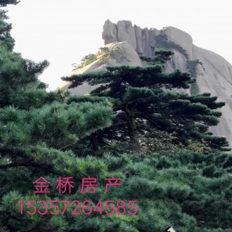 文苑花园 3室 136㎡ 105万 毛坯