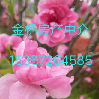 文博园烟雨江南 3室 125㎡ 0万 毛坯