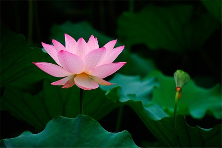 天龙景园 3室 127㎡ 86.8万 精装修