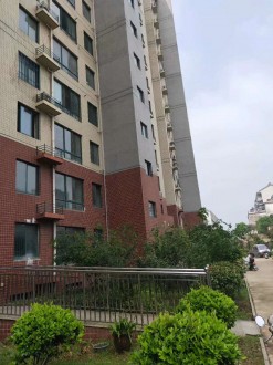 晋湖家园 毛坯三室单元电梯房91万出售
