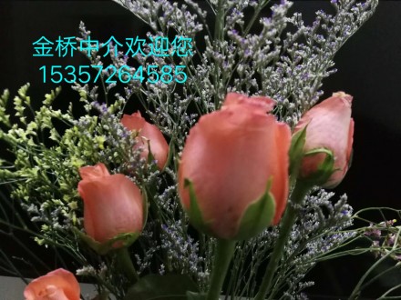天龙景园 4室 163㎡ 128万 精装修