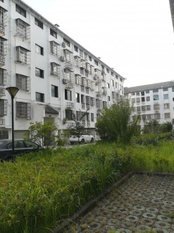 烟雨江南 3室 120㎡ 88.8万 精装修