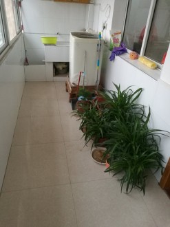 晋湖路 3室 119㎡ 49.9万