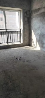 天成时代广场127平毛坯98万出售  全明户型