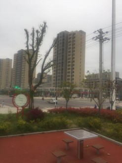 天龙新村 3室 104㎡ 72.8万 普通装修带杂物间