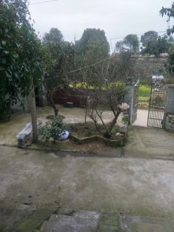 人民县医院附近，庭院房，三房，带大院子