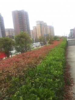 灌区大院 3室 73㎡ 56.8万 普通装修
