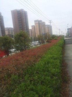 新小附近 3室 98㎡ 72万 精装修
