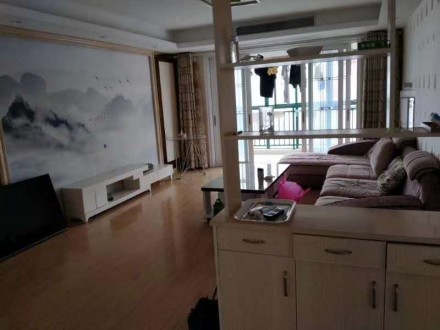 龙城庄园 3室 138㎡ 115万 豪华装修
