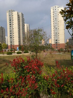 晋湖家园 3室 140㎡带车位 121万