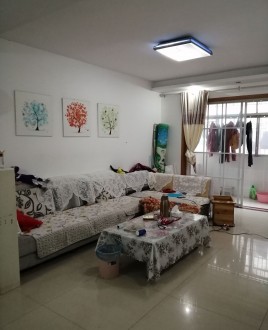 老城东湖苑小区 3室 106㎡ 58.8万