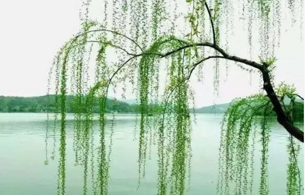 金色家园精装单元房带大杂物间