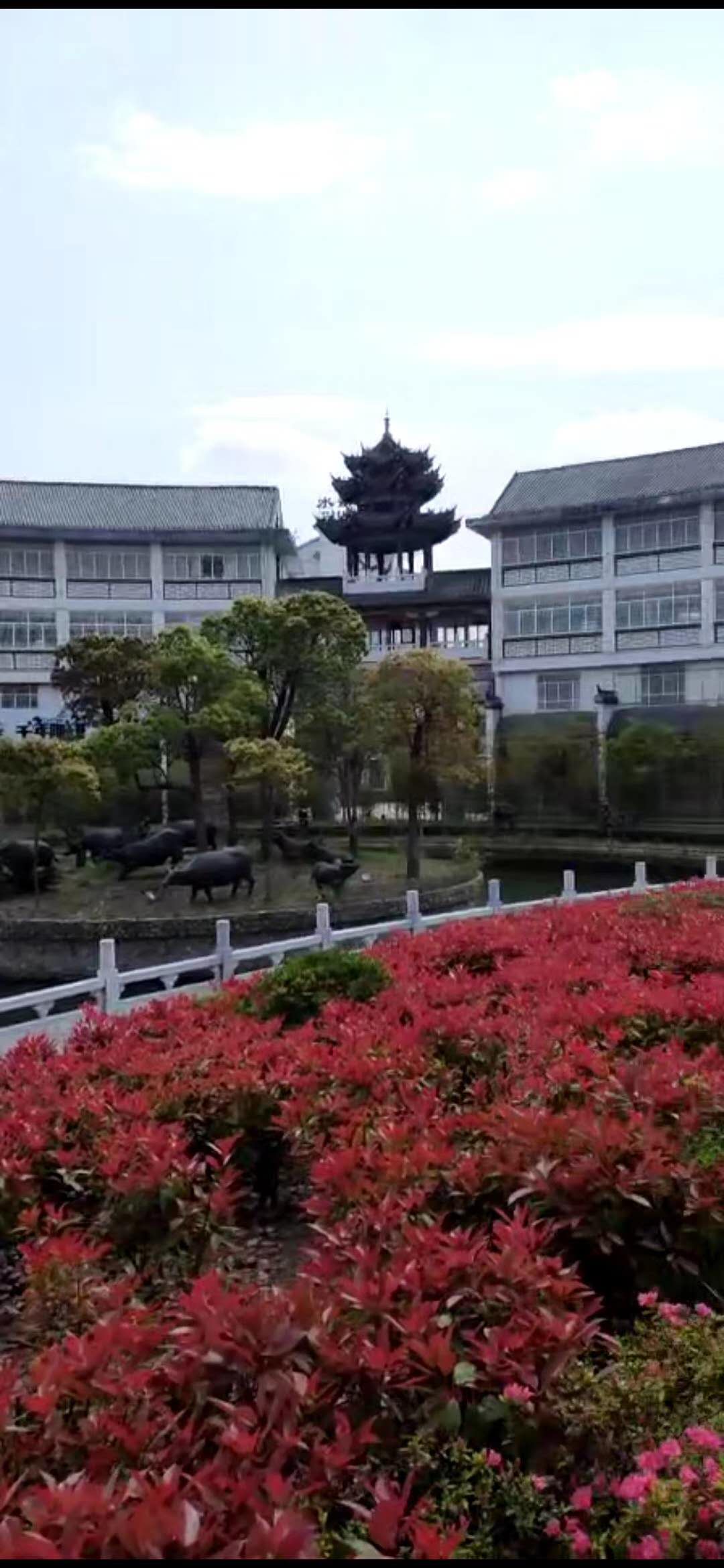 龙城庄园  121㎡ 85万元