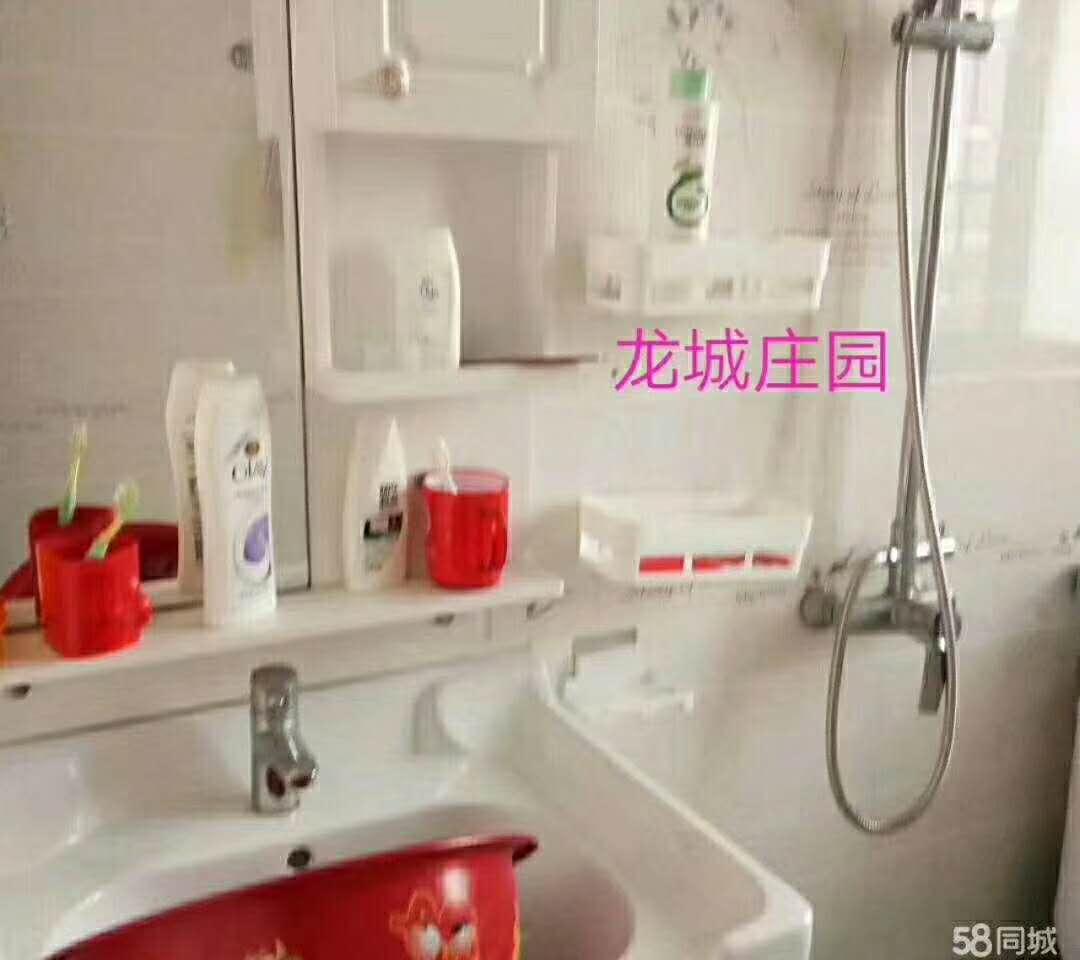 龙城庄园  109㎡ 88万元