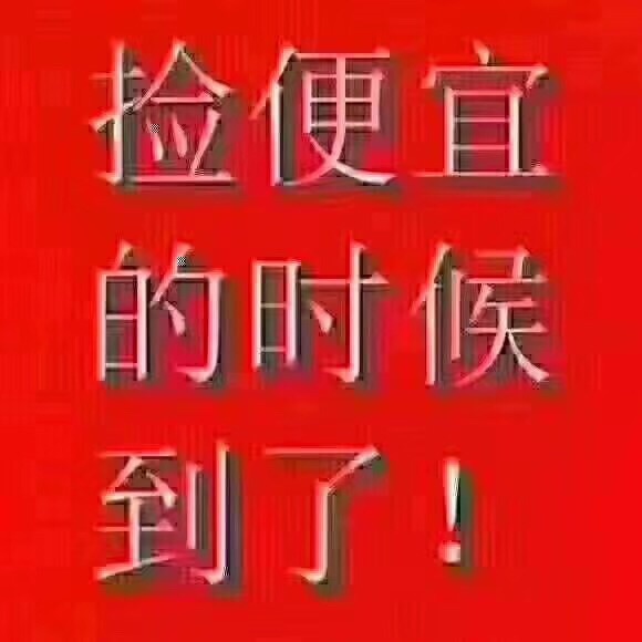 龙城庄园  146㎡ 96万元