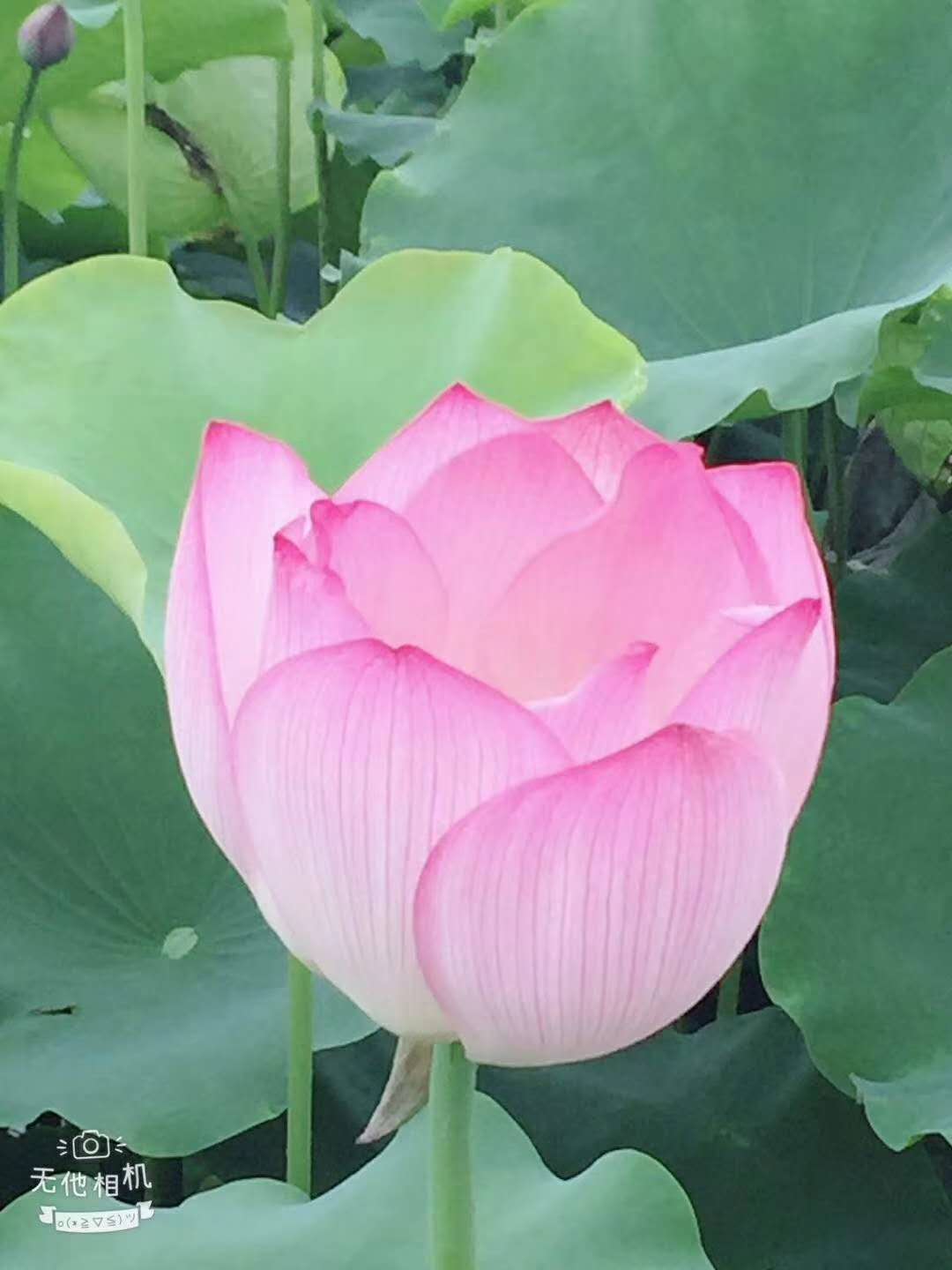 幸福家园  123平方毛坯房88万出售