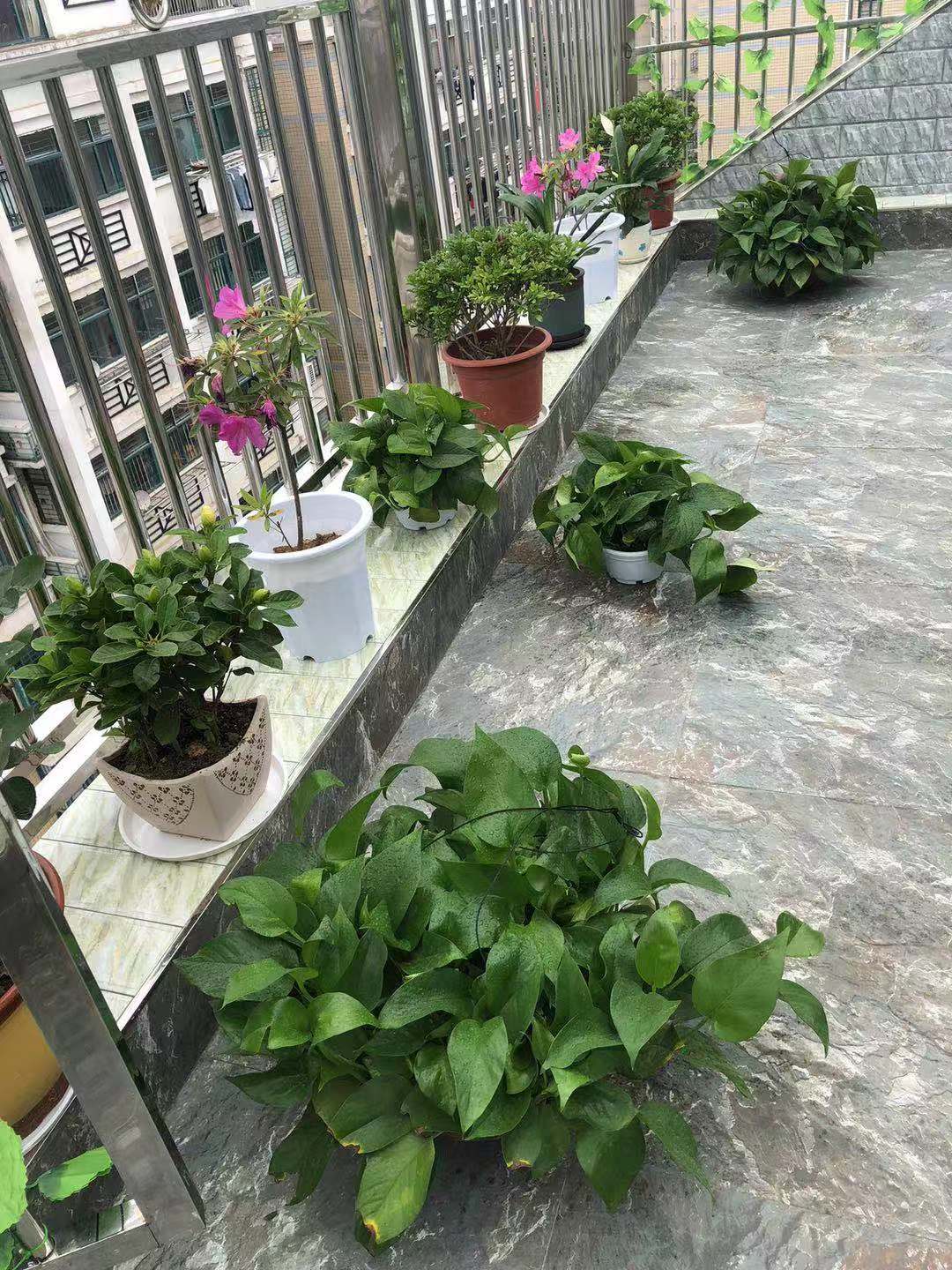 天泰花园  103.00㎡ 35万元精装带大阳台