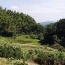 太湖县完美搬家家具安装